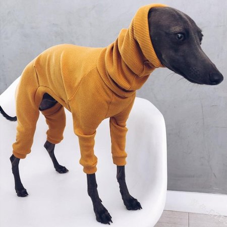 Dog Clothes Pet Outfits, Four-legged Sweater, Long Hooded Warm Pet Clothes, Winter Coat Sweater for Small Medium Large Dogs Yellow/4XL