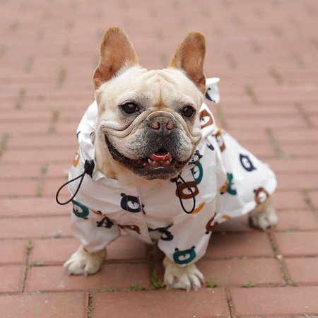 French fighting raincoat Pug Corgi Schnauzer medium-sized dog poncho all-inclusive two-legged pet waterproof clothes As Picture/L